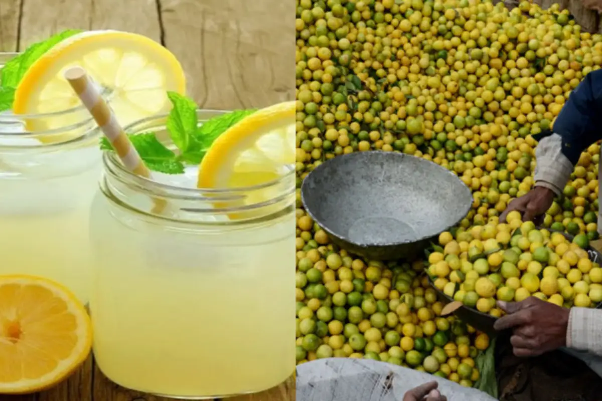 Lemon prices soar to Rs800 per Kg amid hot weather