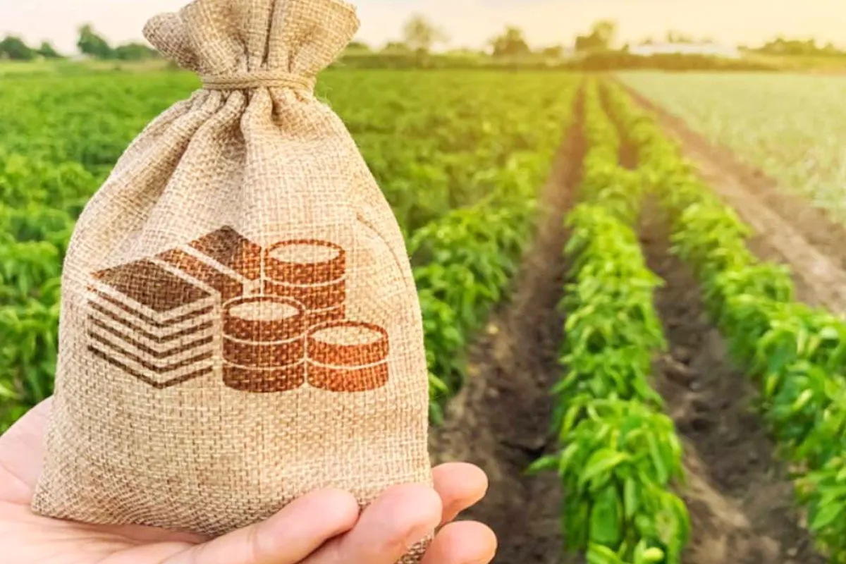 IMF suggests higher taxes on agricultural inputs