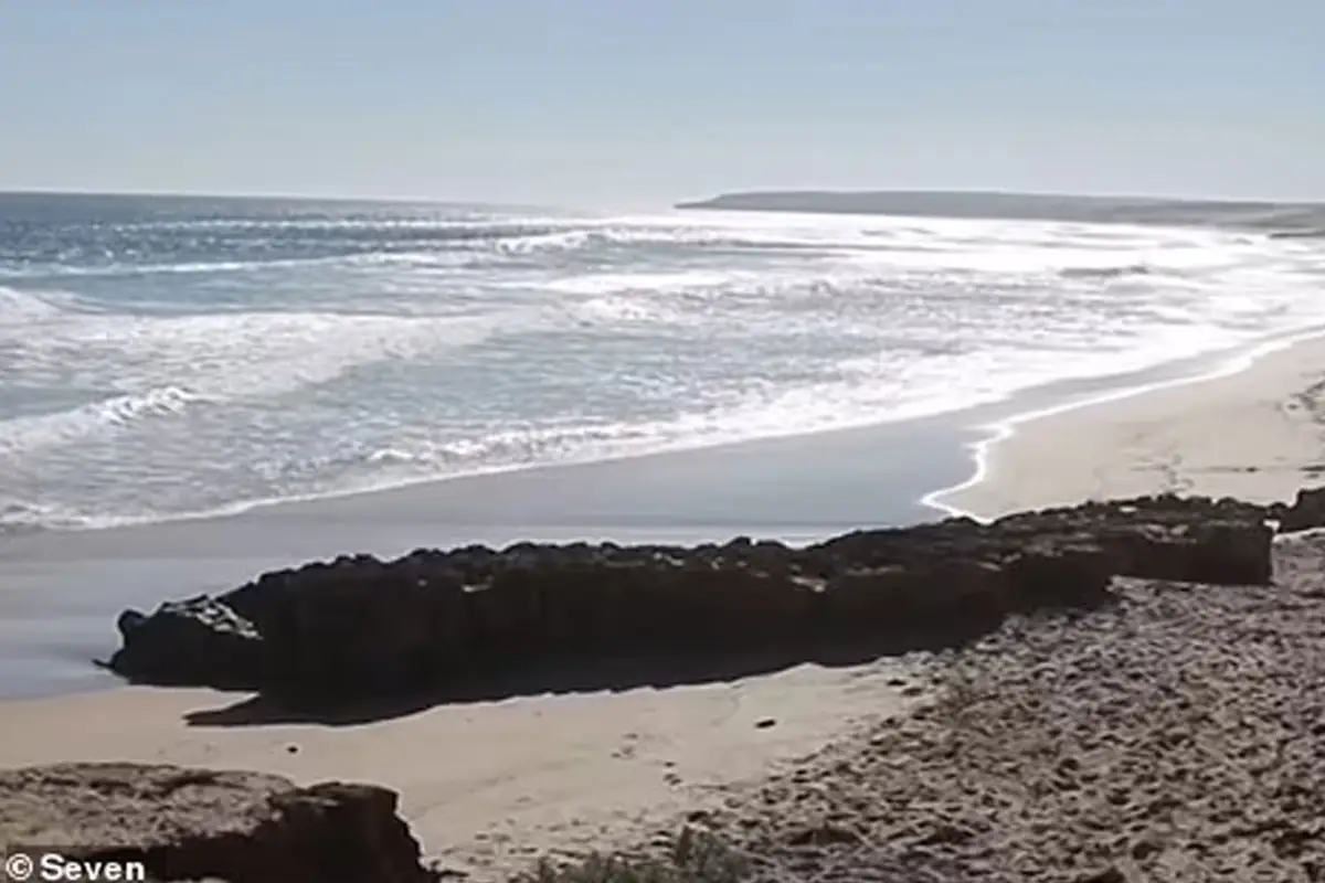 Two Elderly Women Drown While Fishing at Back Beach, South Australia