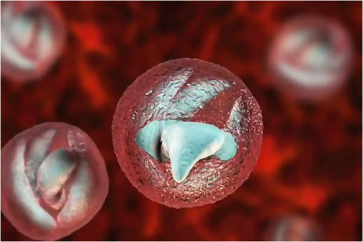 UK Sees Outbreak of Dangerous Crypto Parasite