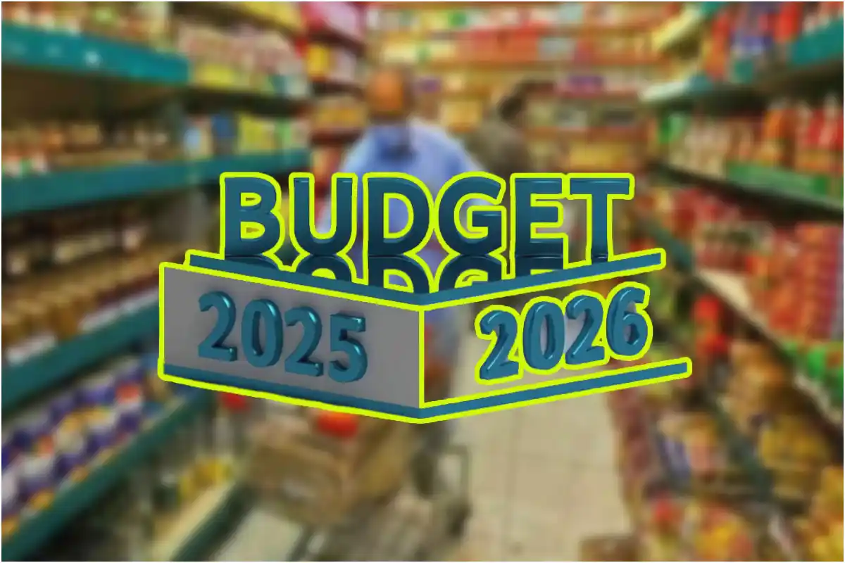 Budget 2025-26: Ice Cream, Noodles & Snacks to Get Costlier