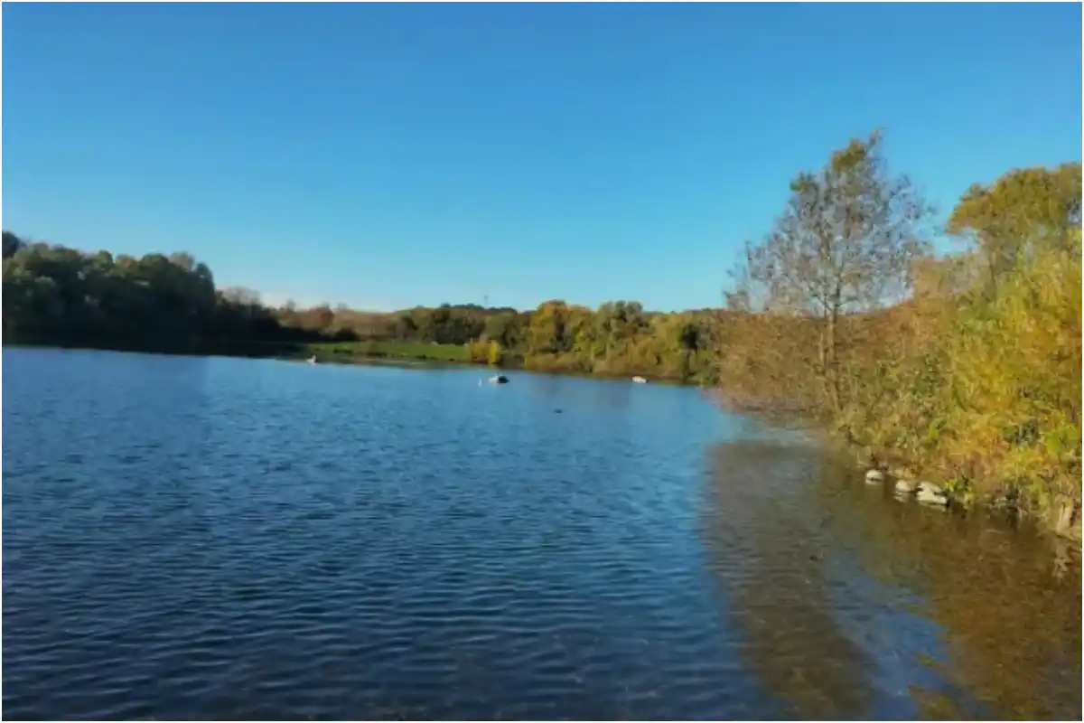 Body Found in Search for Missing 16-Year-Old Boy