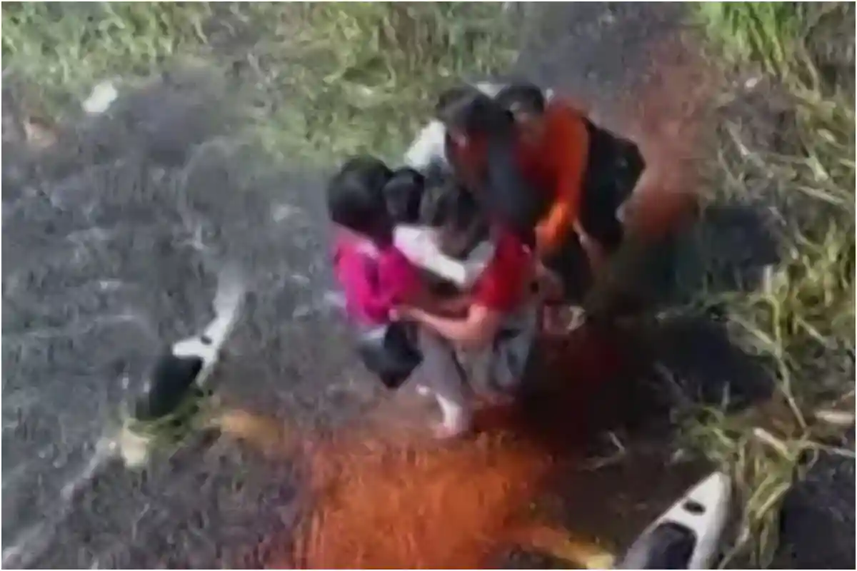 Five Survive 36 Hours in Alligator Swamp After Plane Crash