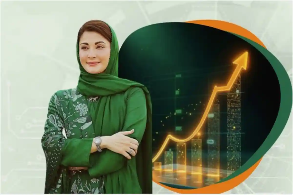 How to Apply for CM Punjab Asaan Karobar Program 2025