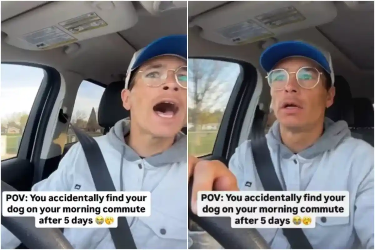 Man Reunites With Missing Dog During Commute