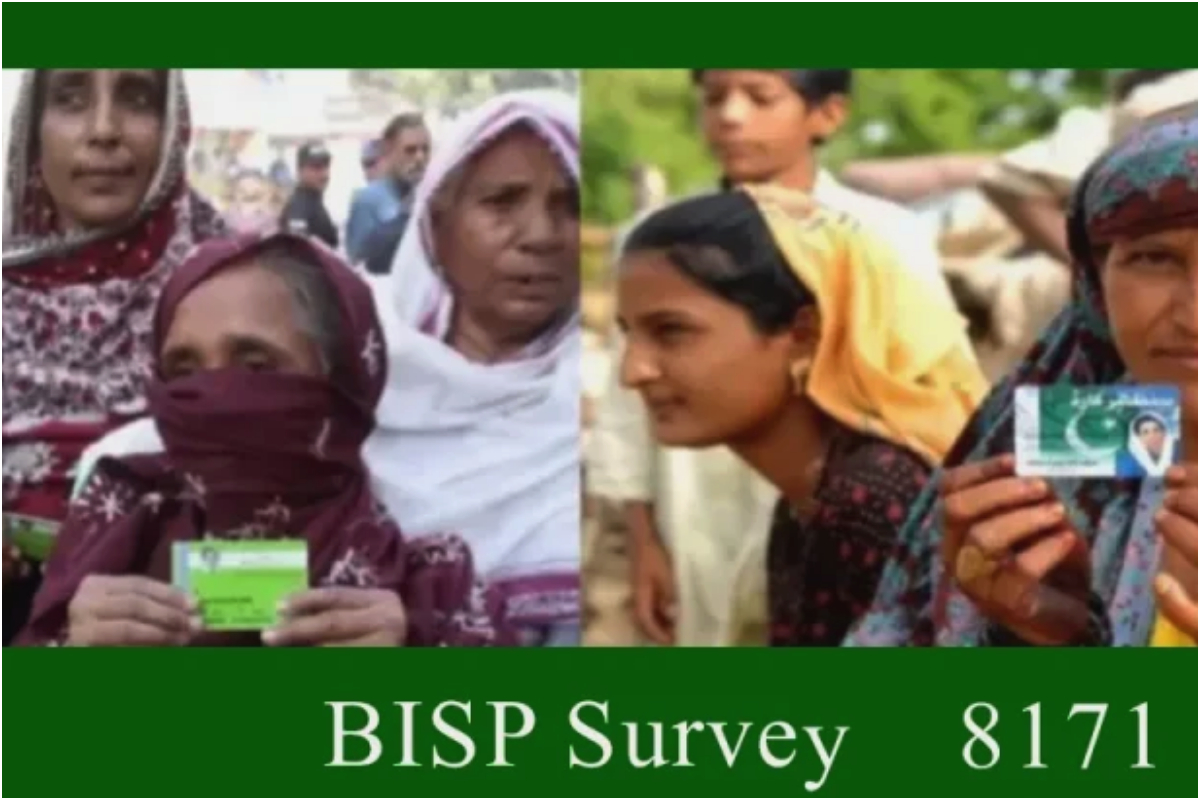 NSER Dynamic Survey June 2025 – Complete Guide for BISP Applicants