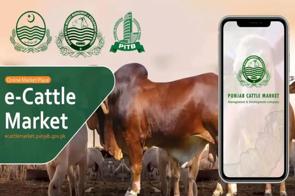 Punjab launches e-Cattle Market App, Web Portal – Check Details