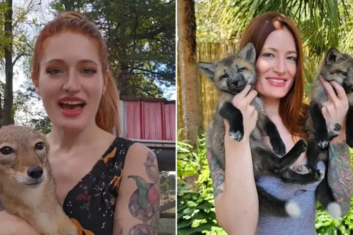 YouTube Star Mikayla Raines Dies by Suicide at 29 After Cyberbullying