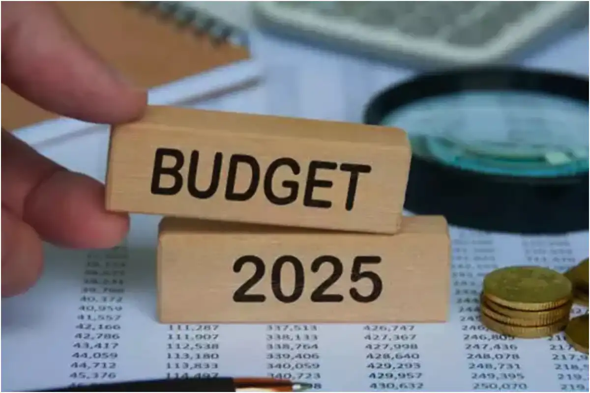Budget 2025: Government Plans Crackdown on Tax Evaders