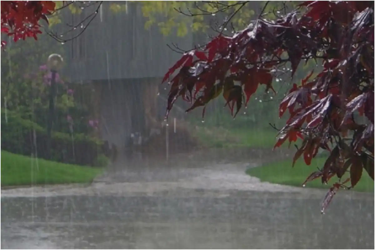Heavy Monsoon Rains Forecast Across Pakistan This Week