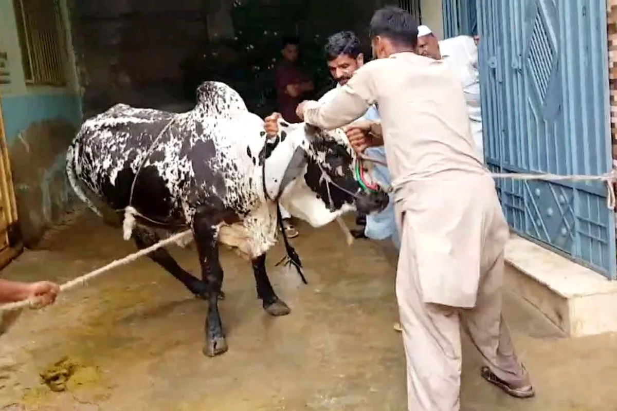 Qasai rates for Eidul Adha 2025 in Pakistan – Check here