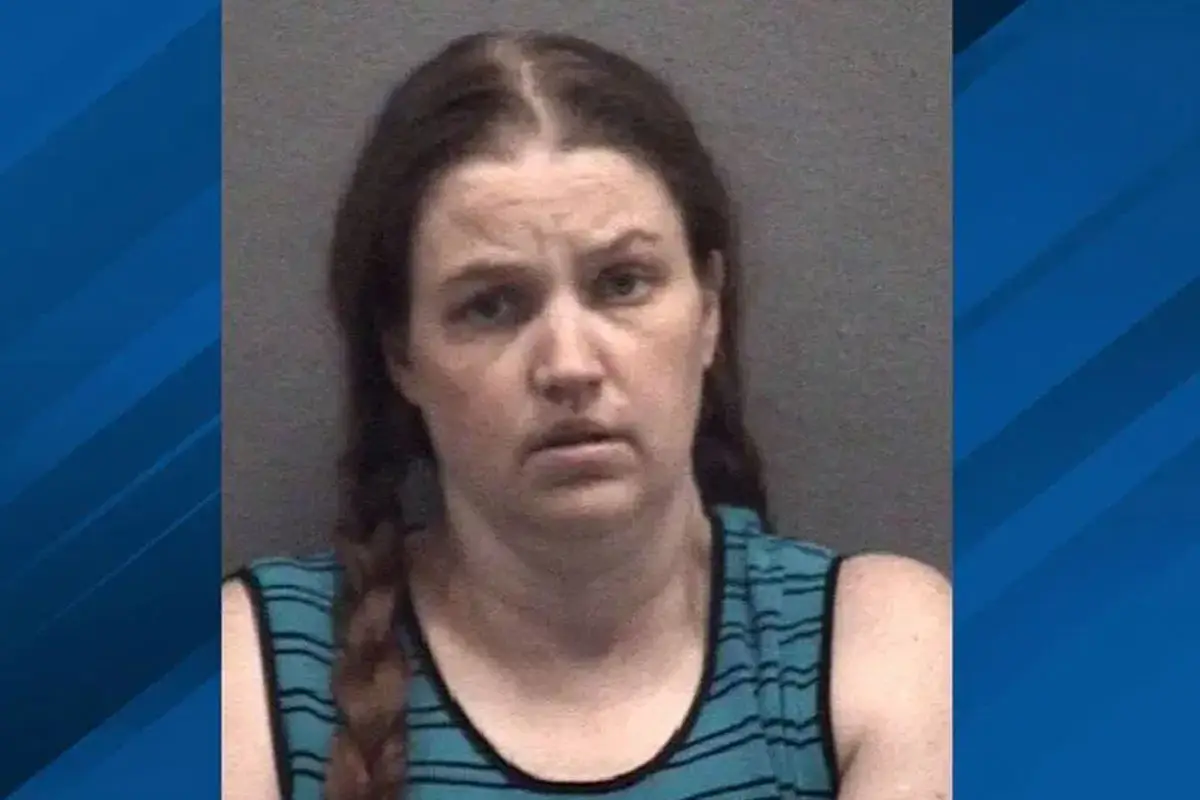 Who is Shanda Vander Ark? Michigan Mom Sentenced to Life