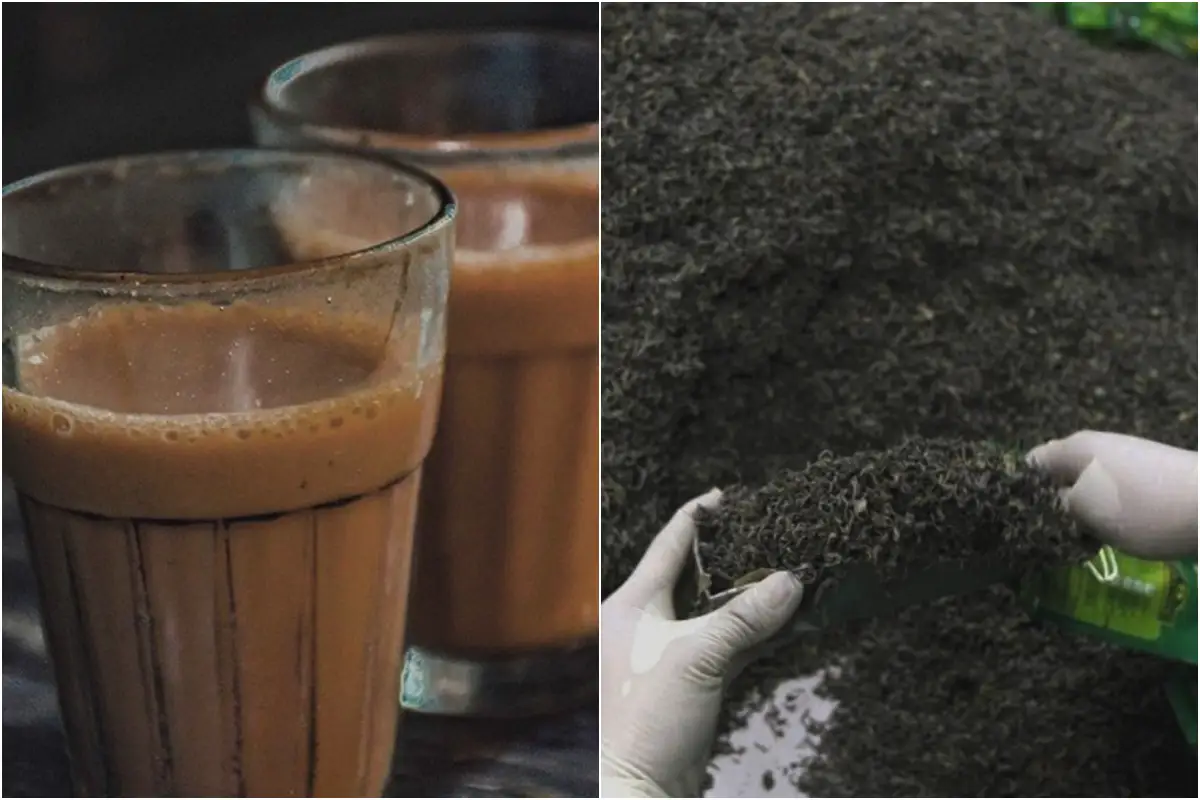 Pakistan Spends Over Rs179 Billion on Tea Imports in FY25