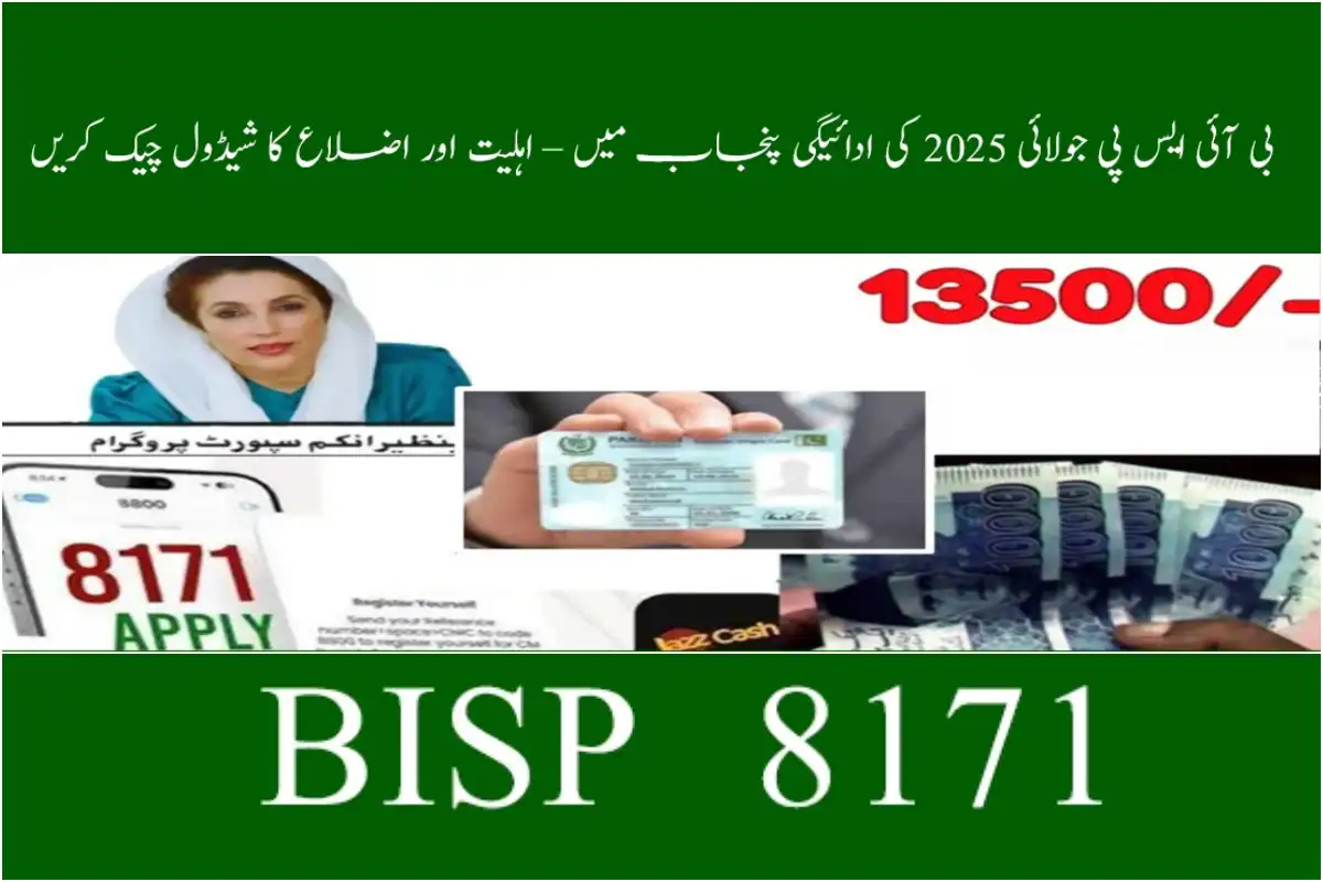 Punjab Districts BISP July 2025 Payments – Complete Details for Beneficiaries