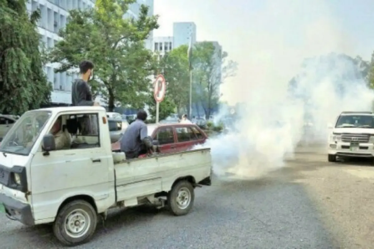 Sindh Health Department Orders Anti-Mosquito Spray Campaign to Prevent Dengue