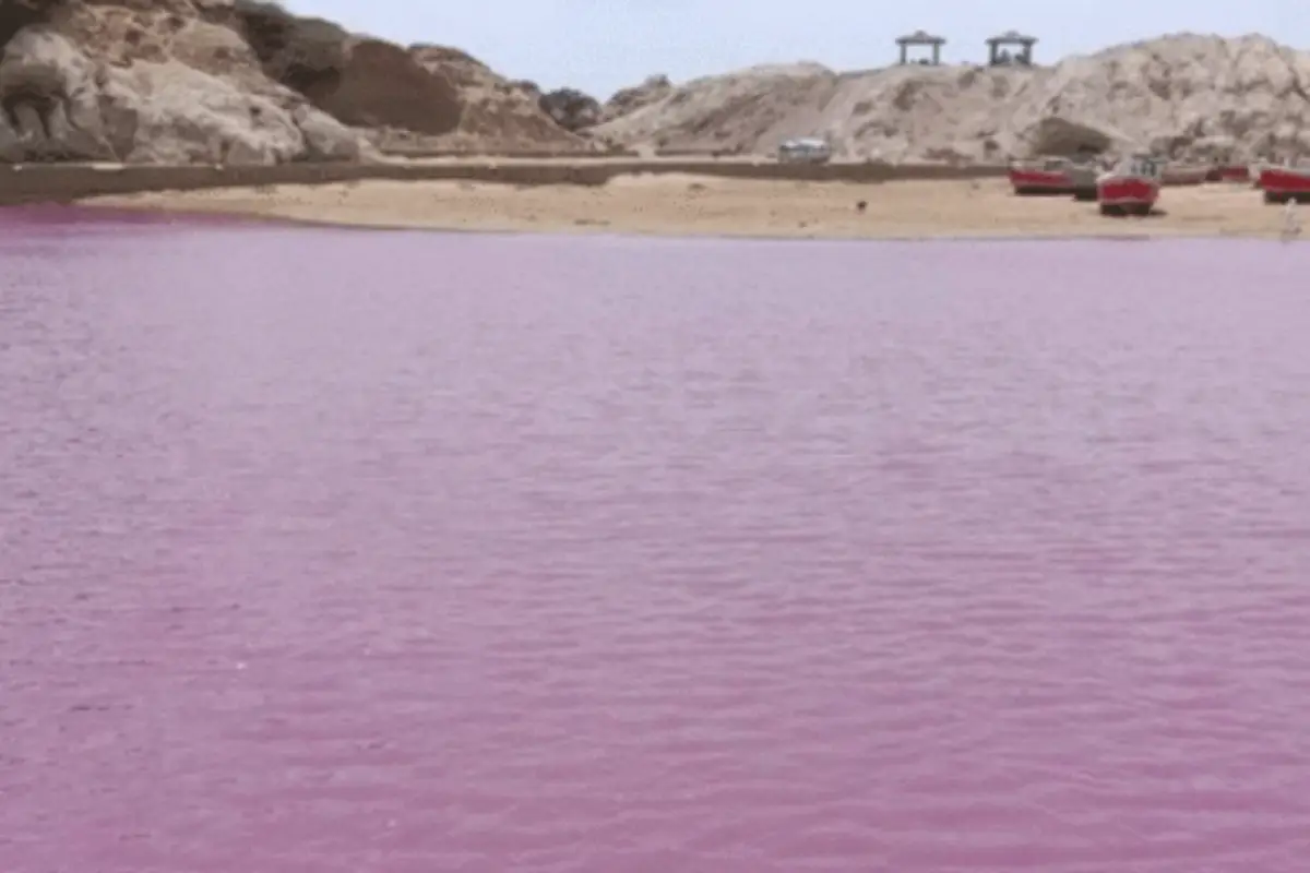 Scientists Reveal Cause of Pink Sea at Gadani Jetty, Issue Health Warning
