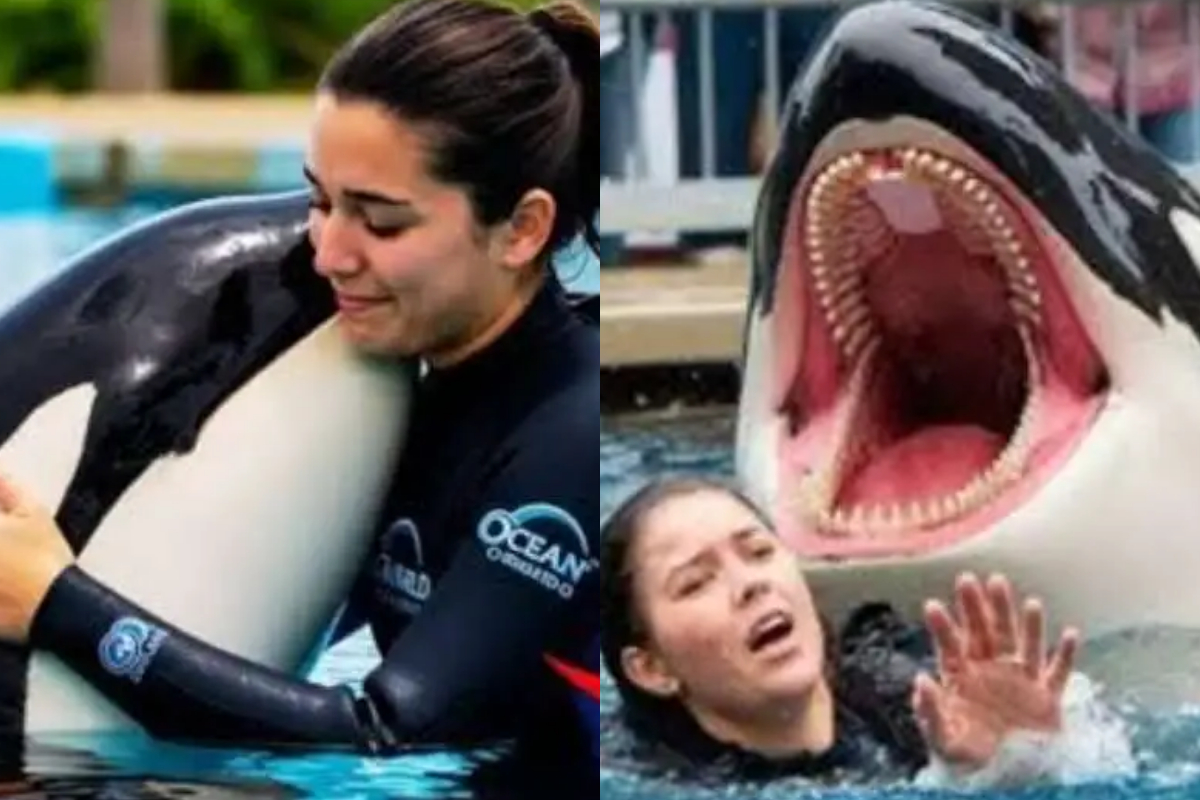 Who is Jessica Radcliffe Husband? All Details About Daniel Cole