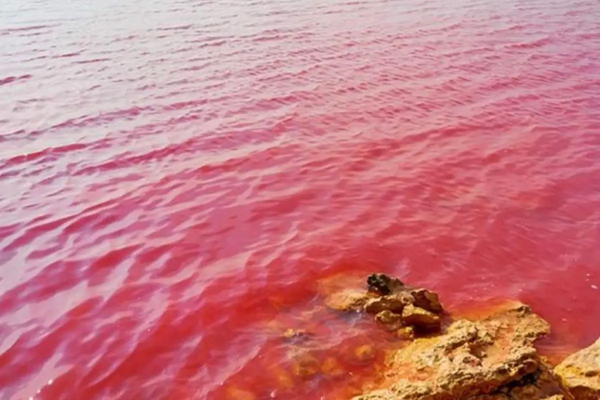 Real Reason Behind Gadani Pink Water Revealed in Official Report