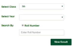 BISE Bahawalpur 9th Result 2025 Announced; Check Online 9th Result Bahawalpur