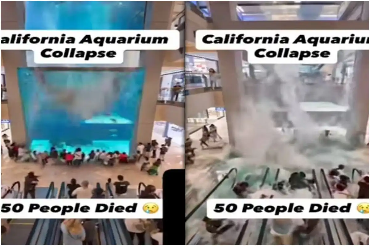 California Aquarium Collapse Rumor Debunked – Here’s the Truth