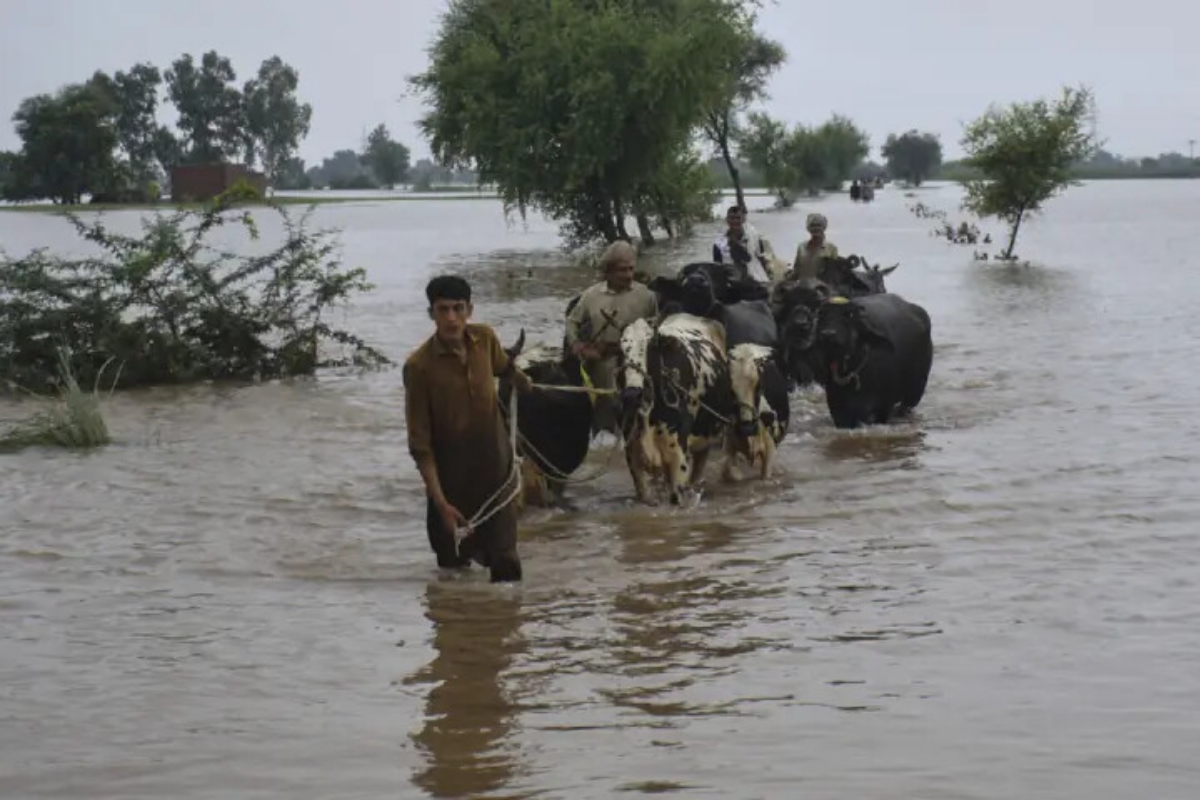 High Flood Alert in Punjab as Chenab, Sutlej Rise