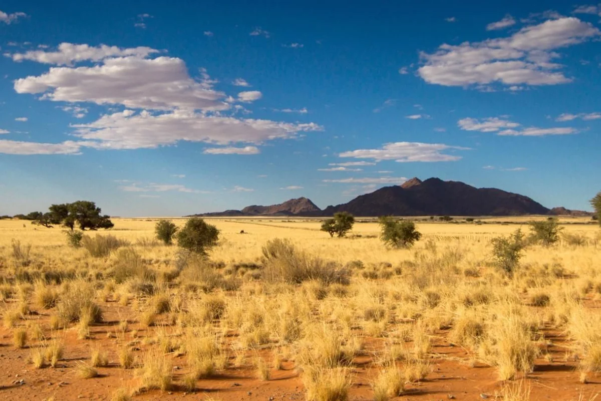 Hot, Dry Weather to Continue Across Most Parts of Pakistan