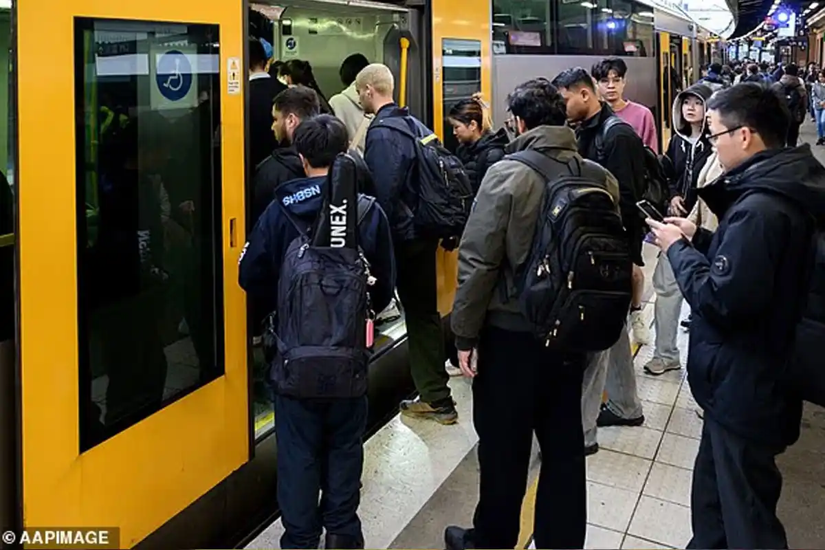 Sydney Train Chaos: T4 Line Halted After Person Reportedly on Tracks Near Edgecliff