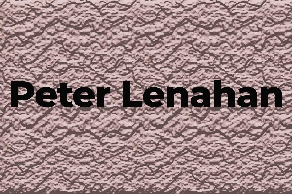 Who is Peter Lenahan? Biography, Net Worth & Wikipedia – Meet The Man Linked with Early Web Discussions