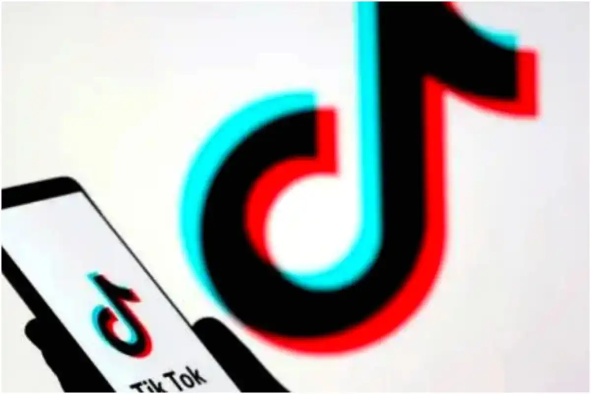 Punjab Assembly Resolution Calls for Permanent Ban on TikTok