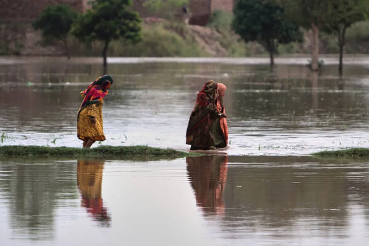 High Flood Alert Issued for Kasur, Okara, Other Cities as South Punjab Remains at Flood Risk