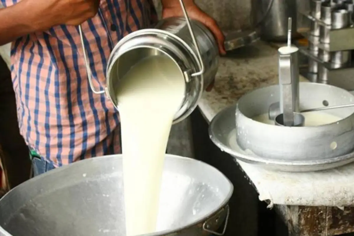 Dairy Farmers Demand Immediate Rs50 Increase in Milk Prices