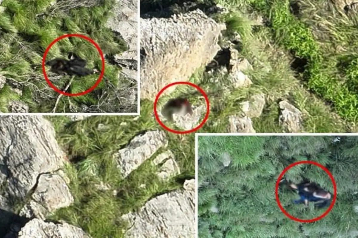 19 Khawarij Mlitants Killed in Khyber Pakhtunkhwa by Security Forces