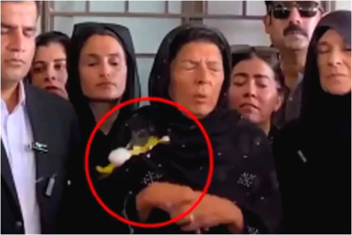 Who is the woman who hit Aleema Khan with egg?