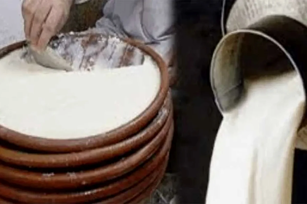 Milk and yogurt prices rise in Lahore – check per KG rates