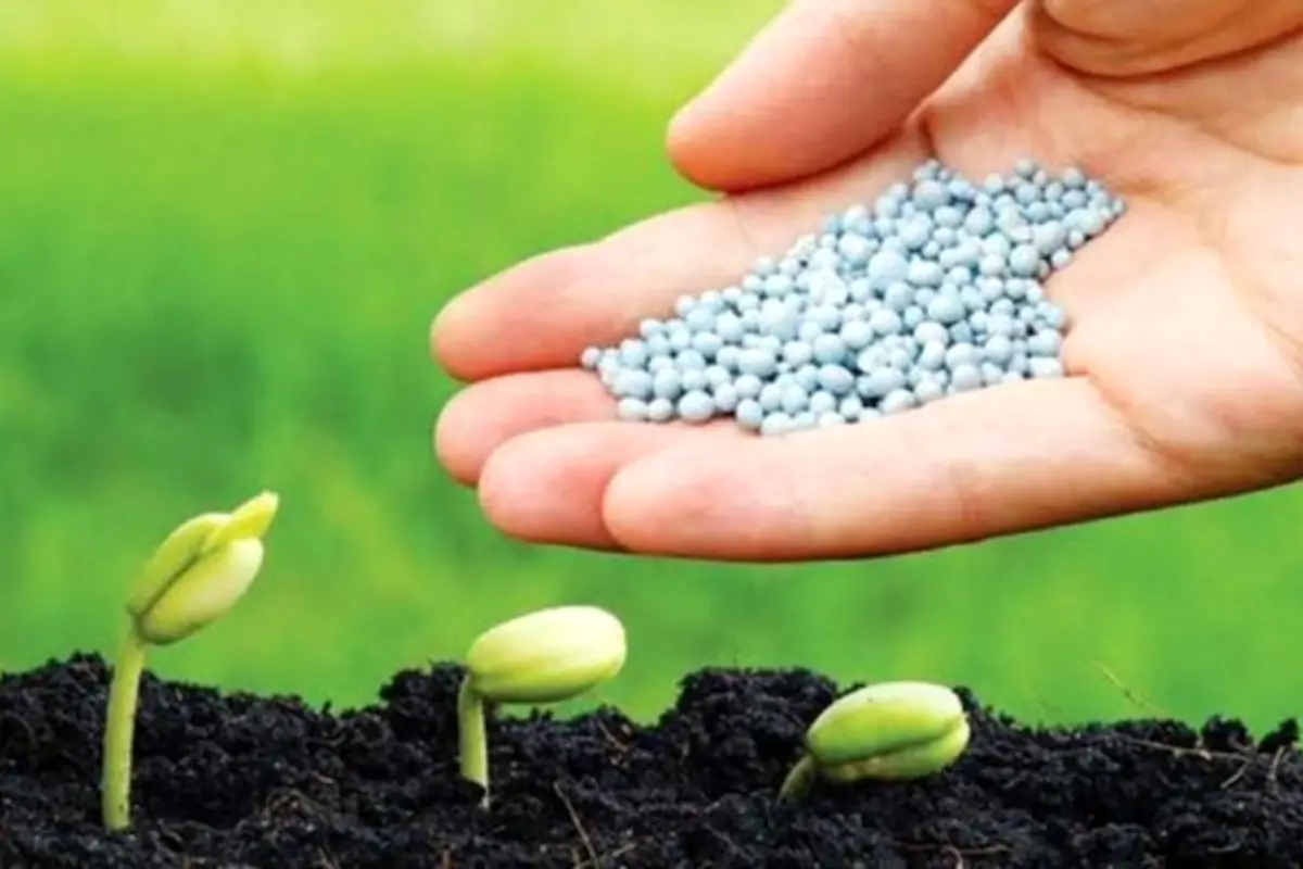 Fertiliser prices drop in Pakistan despite global rates rising