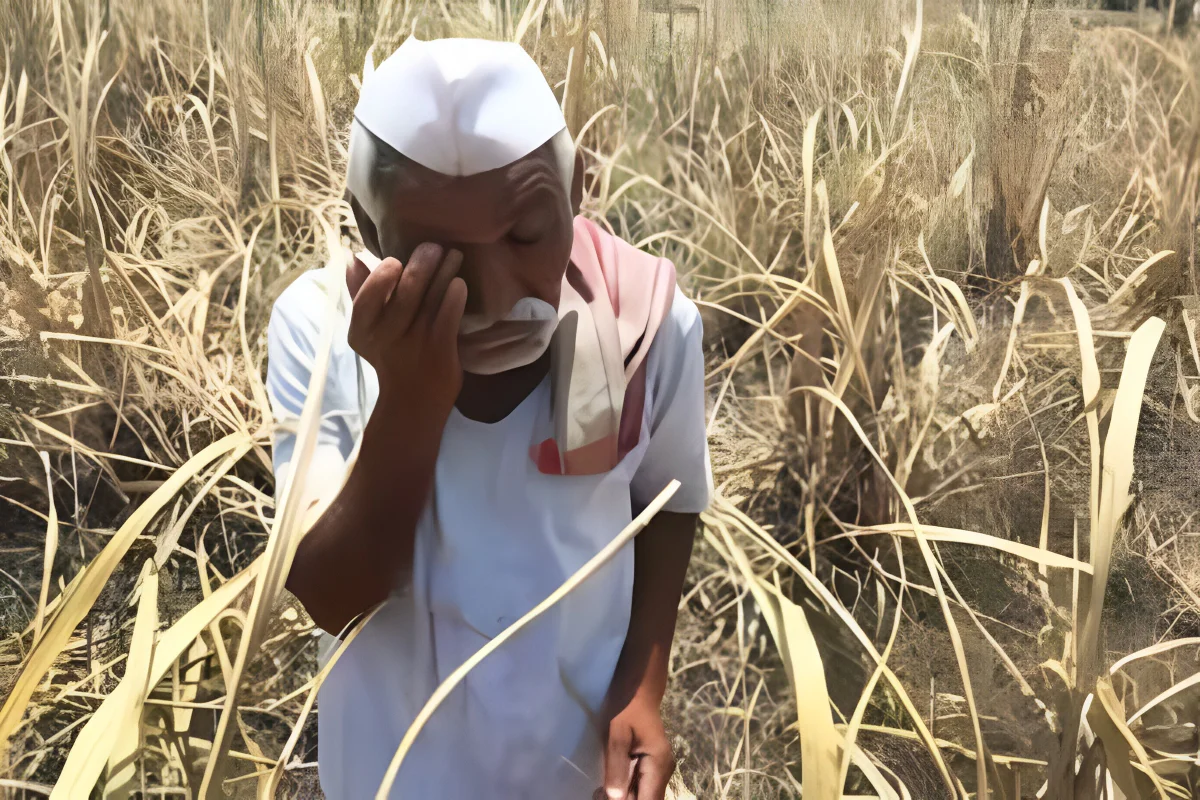 NCRB Reveals Alarming Farmer Suicides Under Modi Govt
