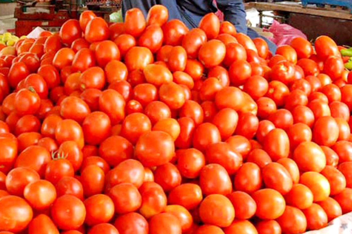 Tomato prices surge to Rs380 per kilogram in parts of Pakistan