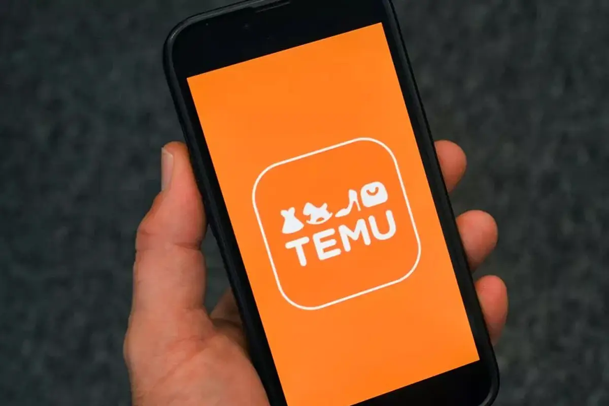 Woman’s £3 Temu Christmas Buy Turns Into Hilarious Shopping Fail