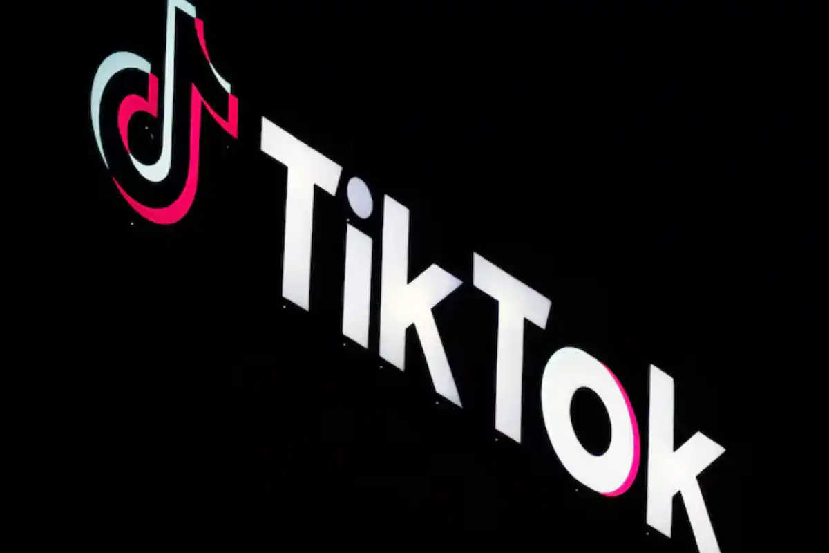 What Is Bird Theory? Everything to Know About Viral Test Taking Over TikTok