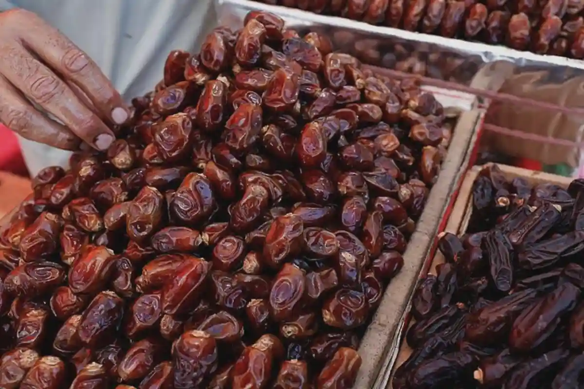 Pakistan to Receive Three Advanced Date Processing Plants from UAE