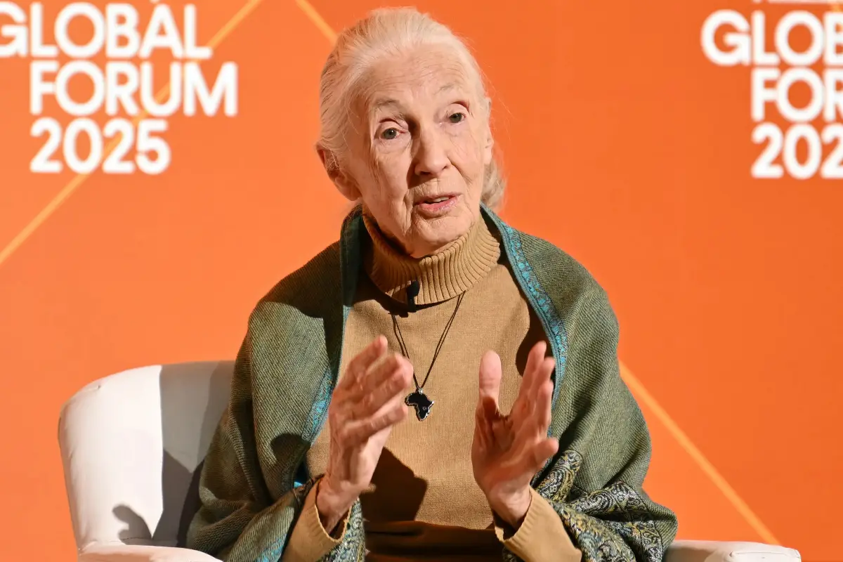 Who Was Jane Goodall’s Husband? Getting to Know Her Family After Her Death at 91