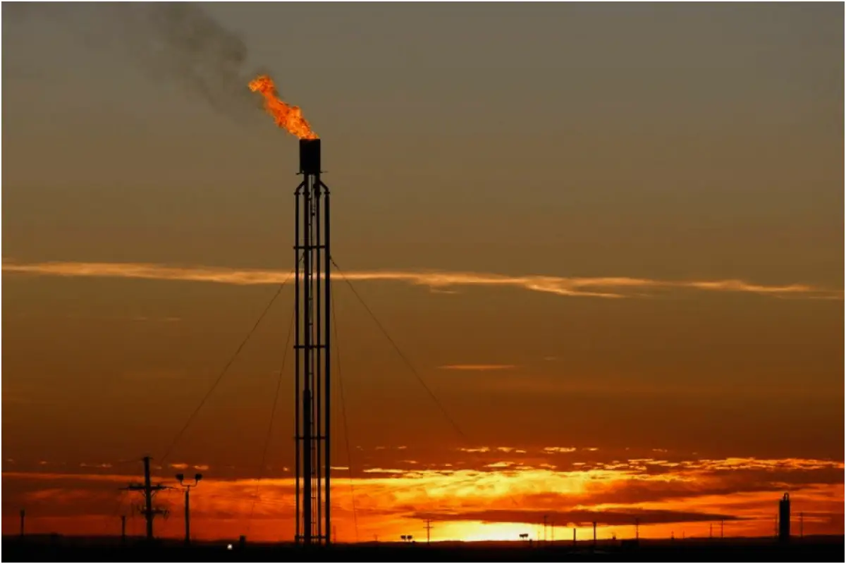 OGDCL Discovers Oil and Gas Reserves in Sindh