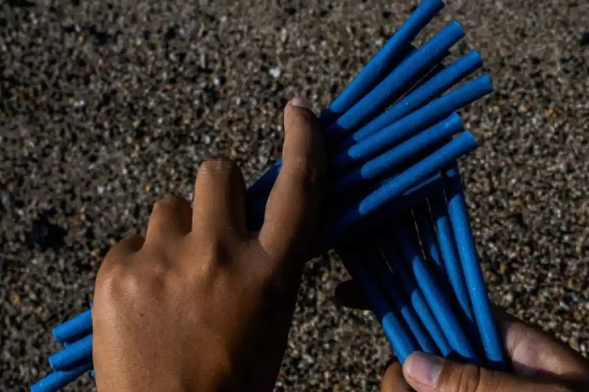 What happened to Loliware After its Appearance on Shark Tank? All About Company Progress