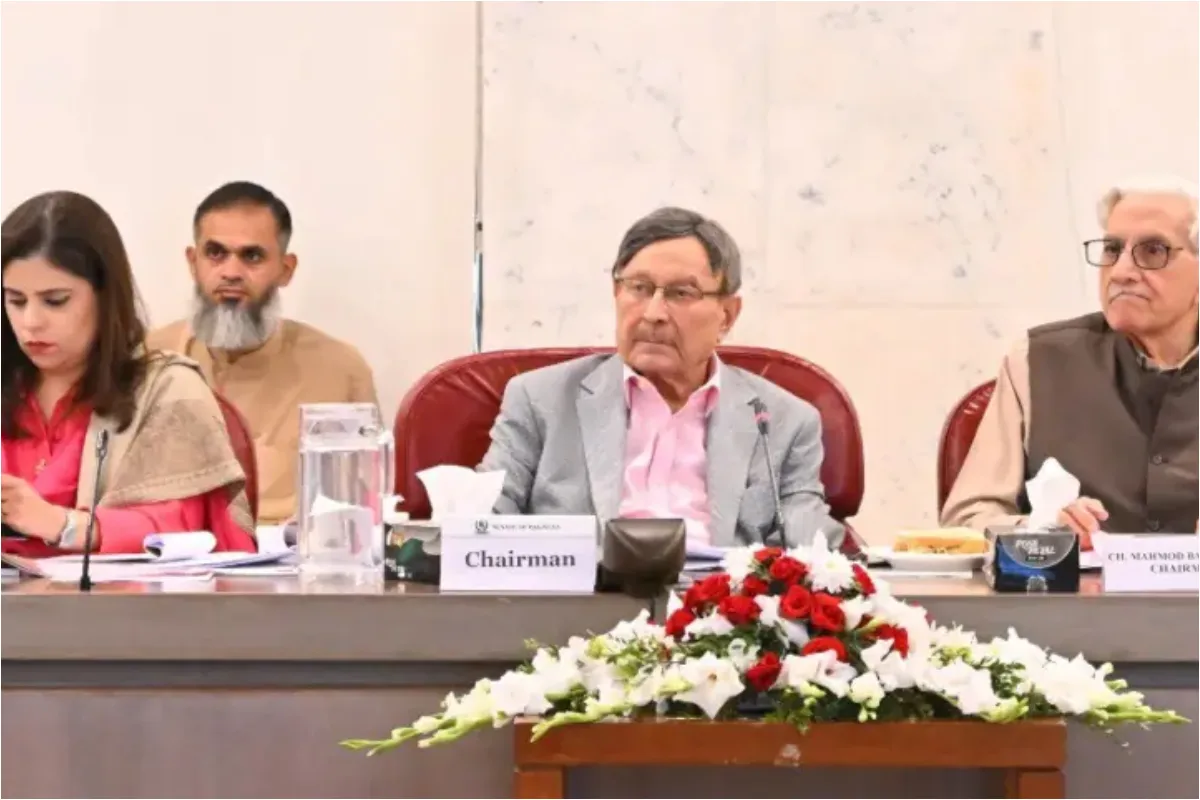 Joint Committees Discuss 27th Constitutional Amendment Bill