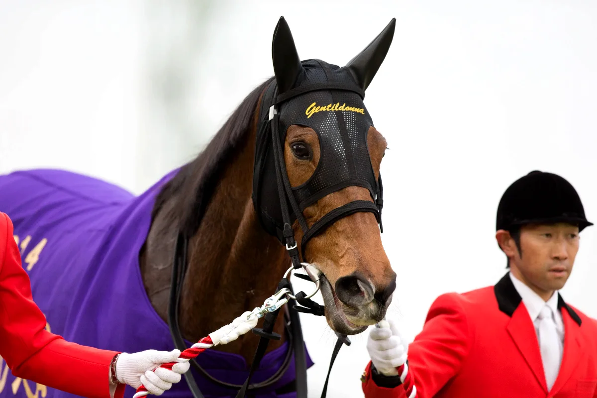 Did Gentildonna pass away? Fans share tributes to the 2012 Japan Cup winner