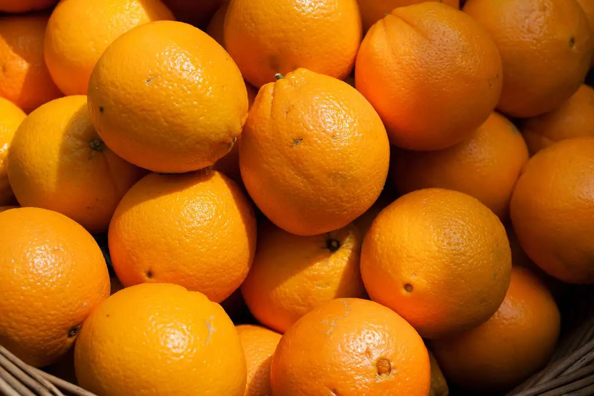 One Orange a Day May Help Prevent Certain Cancers, Study Finds