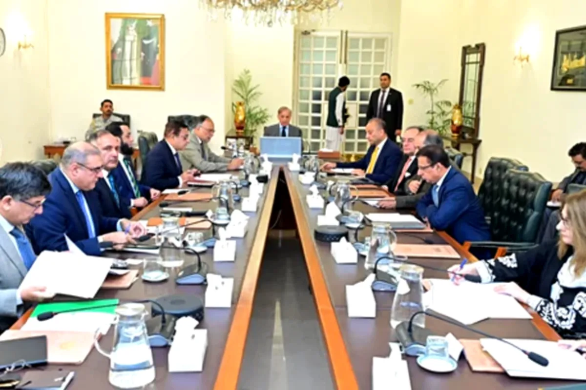 PM Shehbaz approves 5-year strategy to manage future floods