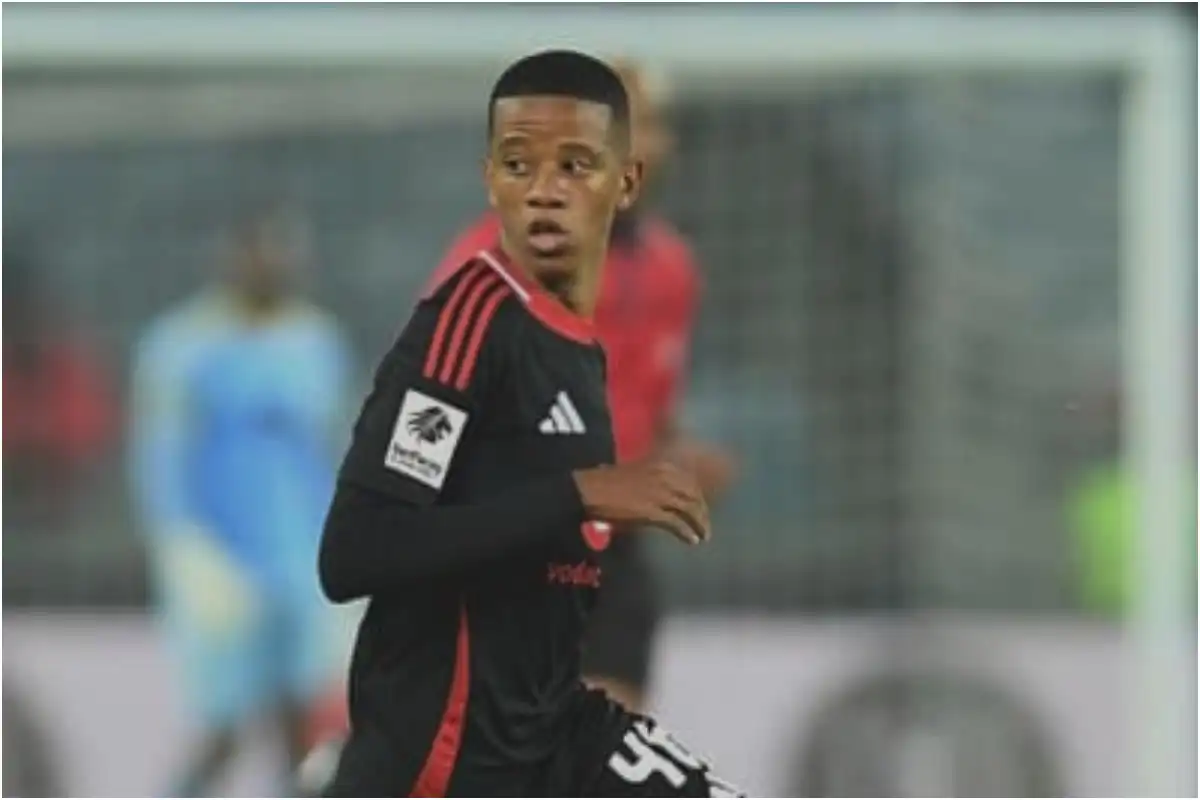 Cemran Dansin Biography: Age, Nationality and Career Highlights