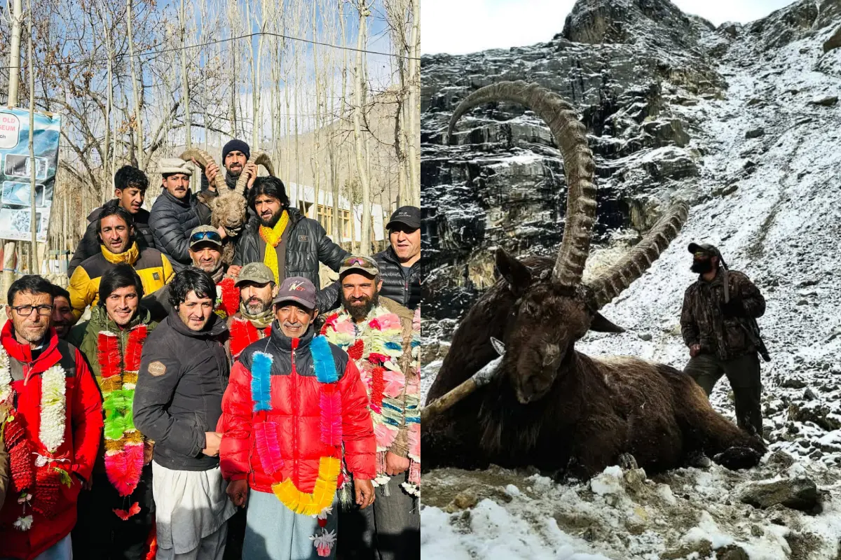 First Ever Ibex Trophy Hunting Completed in Askole, Marking New Opportunities for Local Community
