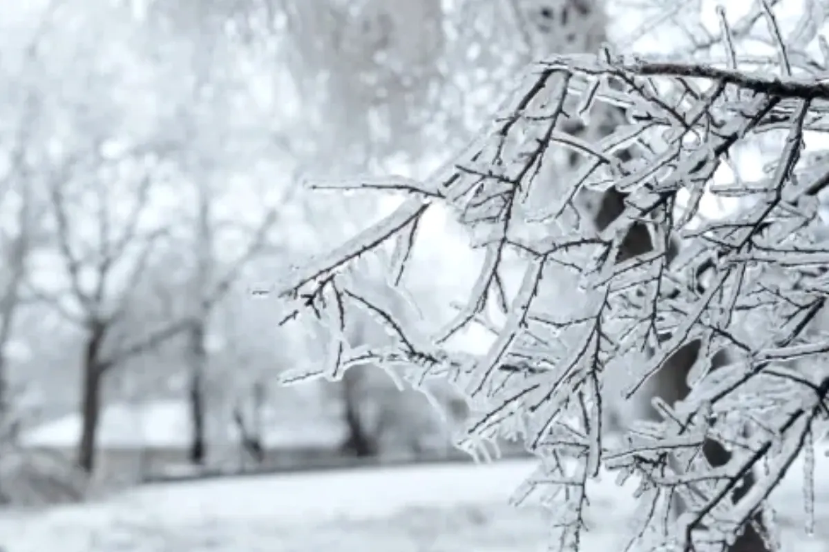 Heavy rain and snowfall sweep across Saudi Arabia and Qatar